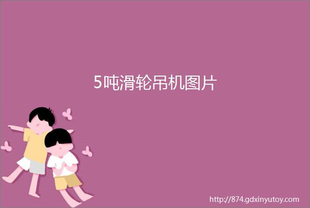 5吨滑轮吊机图片