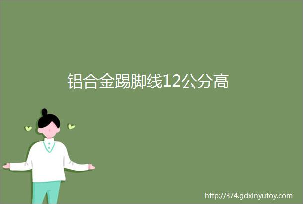 铝合金踢脚线12公分高